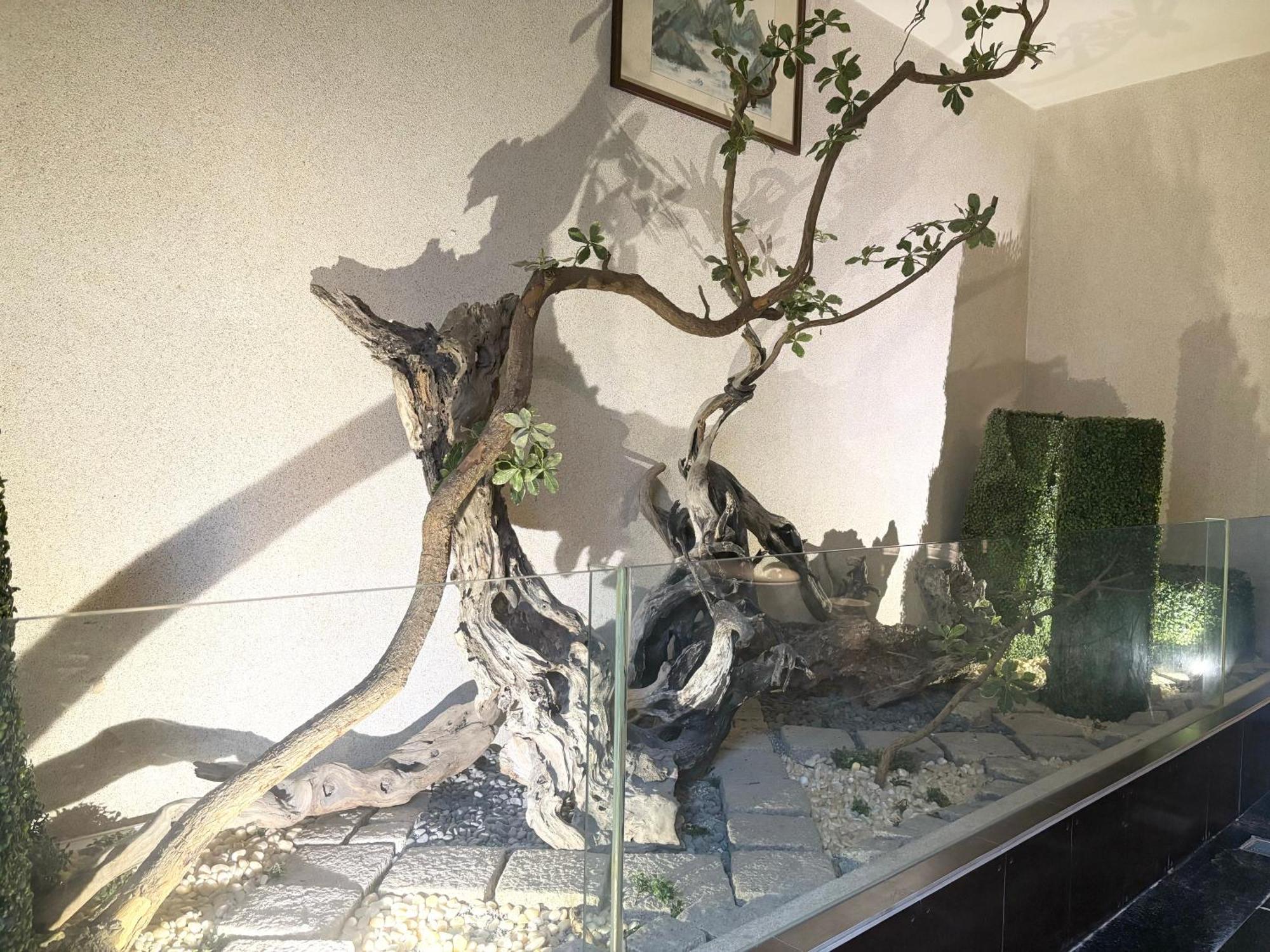 シャドゥ モーテル 台中市 エクステリア 写真